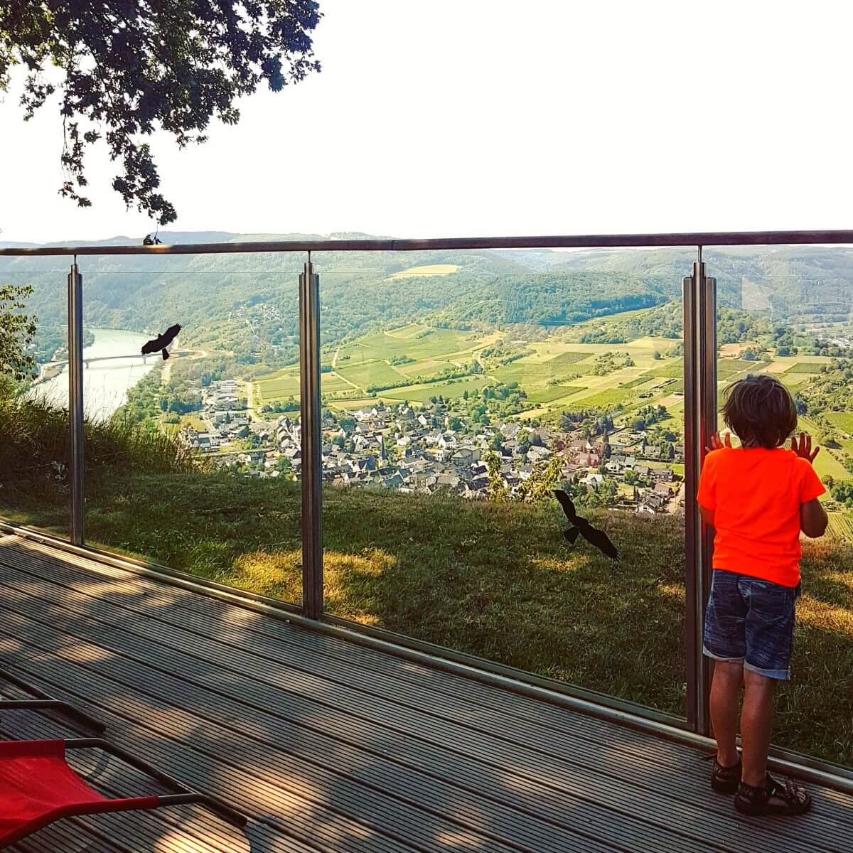 Landal Mont Royal: spelen, zwemmen en wijnproeven met een panoramisch uitzicht - panorama terras restaurant Woods