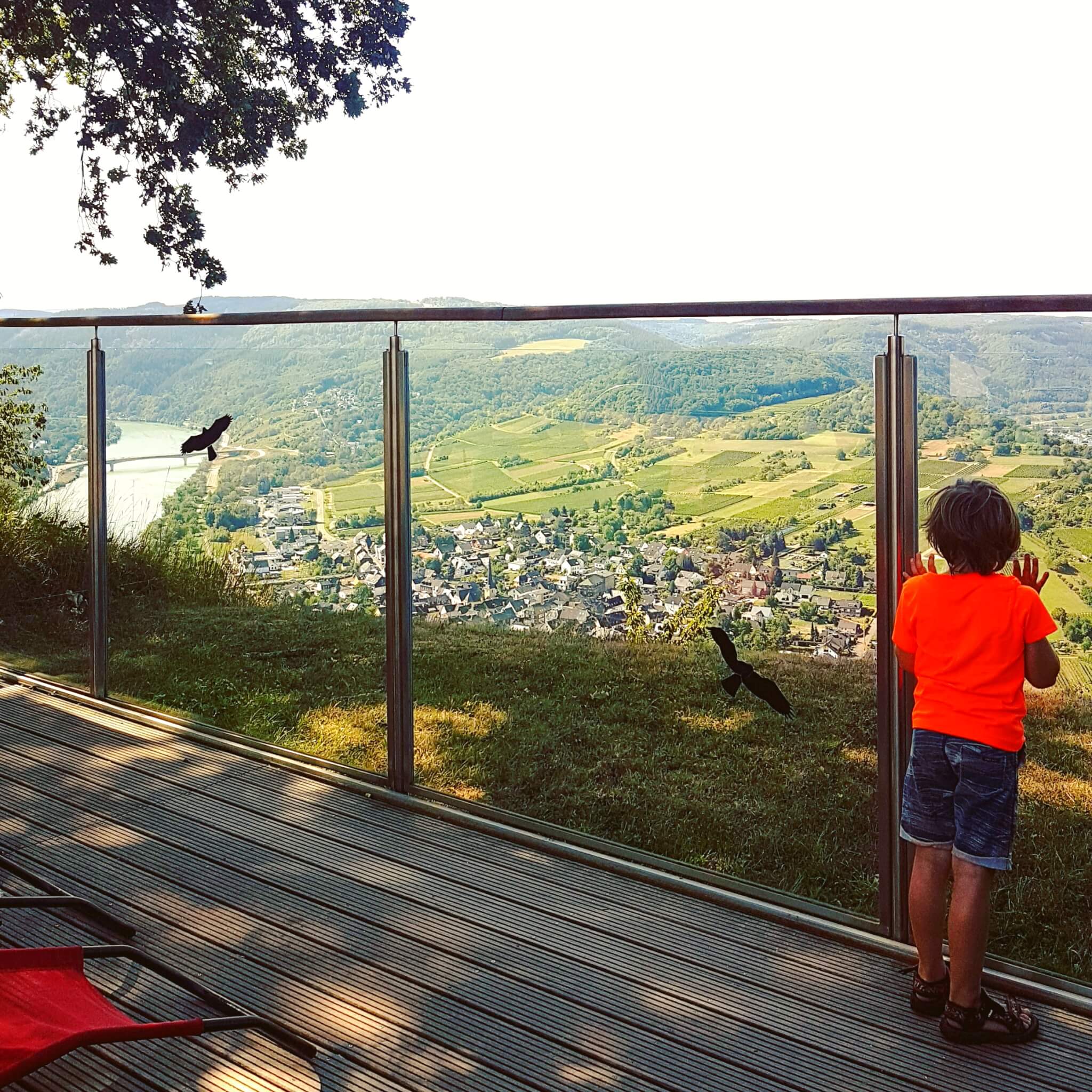 Landal Mont Royal: spelen, zwemmen en wijnproeven met een panoramisch uitzicht - panorama terras restaurant Woods 