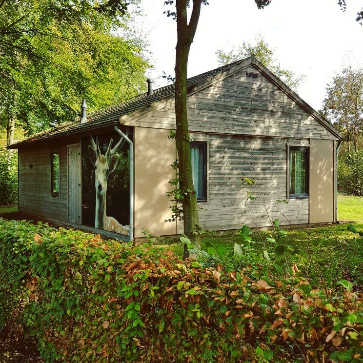 Vakantiepark Dierenbos is ook leuk in de herfstvakantie. Dit park staat helemaal in het teken van dieren. Het ligt prachtig in het bos in Brabant. Dat bos is natuurlijk prachtig in de herfst.