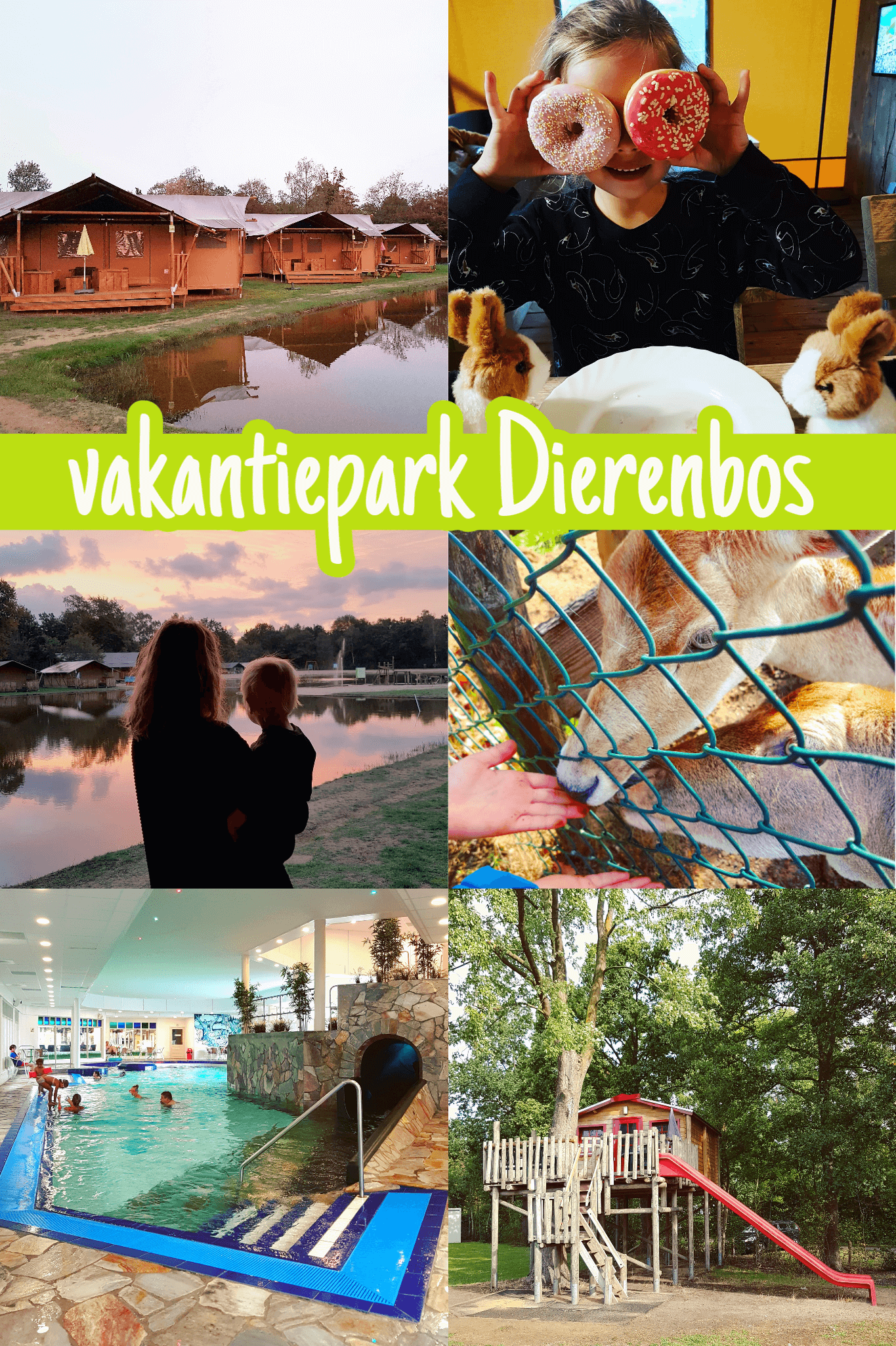 Vakantiepark Dierenbos review: vakantiepark in Brabant. Een vakantiepark in het bos, waar alles in het teken van dieren staat, dat spreekt kleine kinderen meteen aan. In deze review van Vakantiepark Dierenbos in Brabant laat ze meer zien.