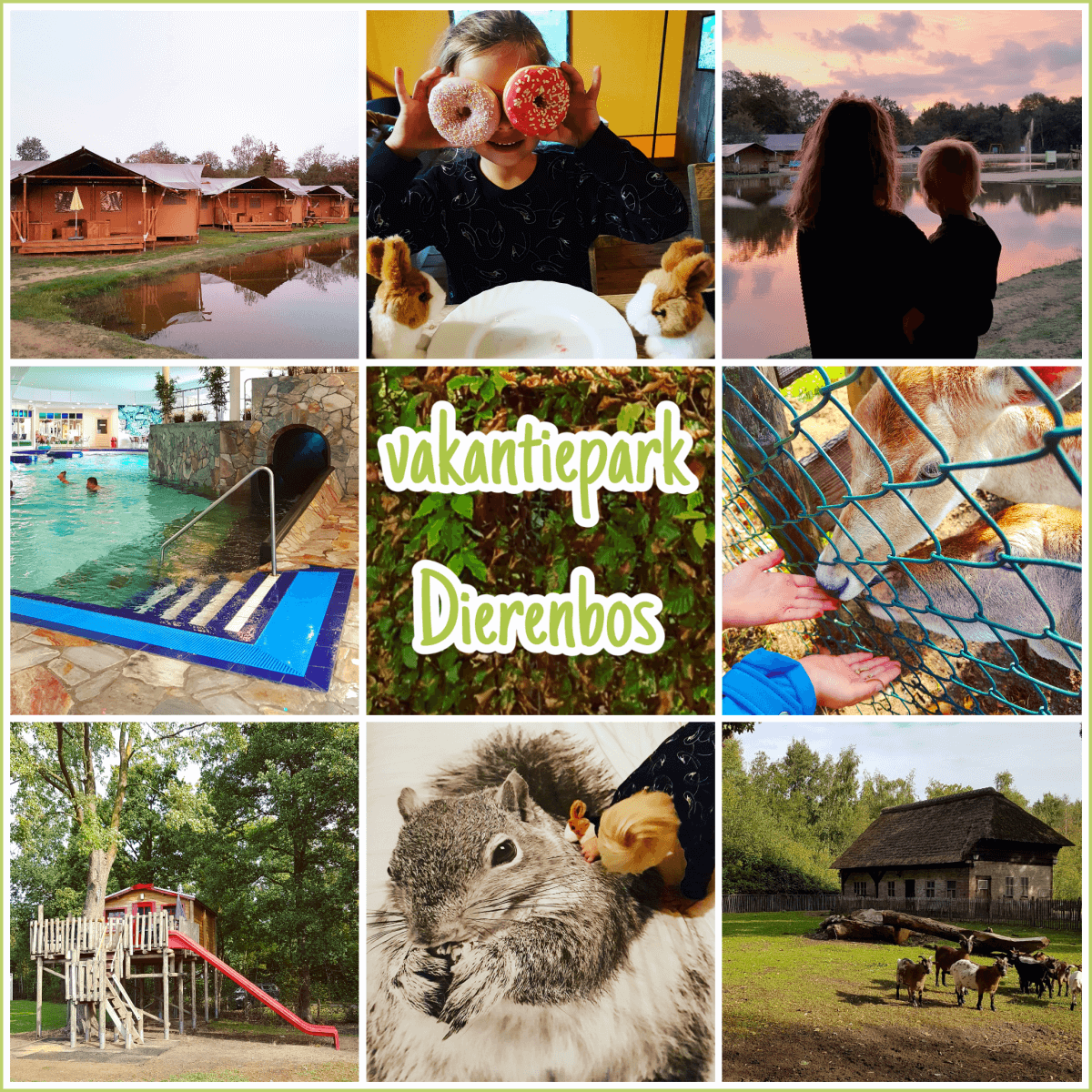 Vakantiepark Dierenbos review: vakantiepark in Brabant. Een vakantiepark in het bos, waar alles in het teken van dieren staat, dat spreekt kleine kinderen meteen aan. In deze review van Vakantiepark Dierenbos in Brabant laat ze meer zien.