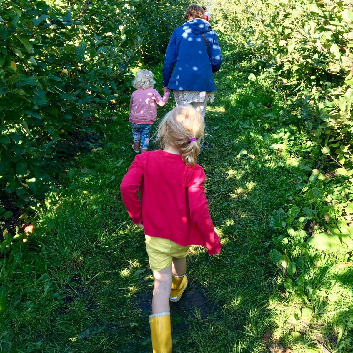 Uitje met kids: appels plukken op een mooie herfstdag