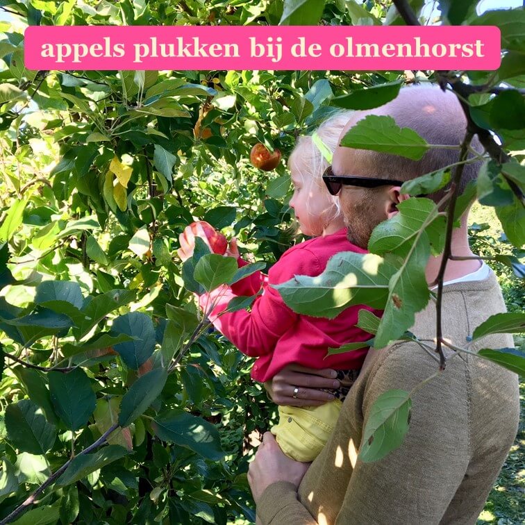 Landgoed de Olmenhorst: met kids appels plukken op een mooie herfstdag