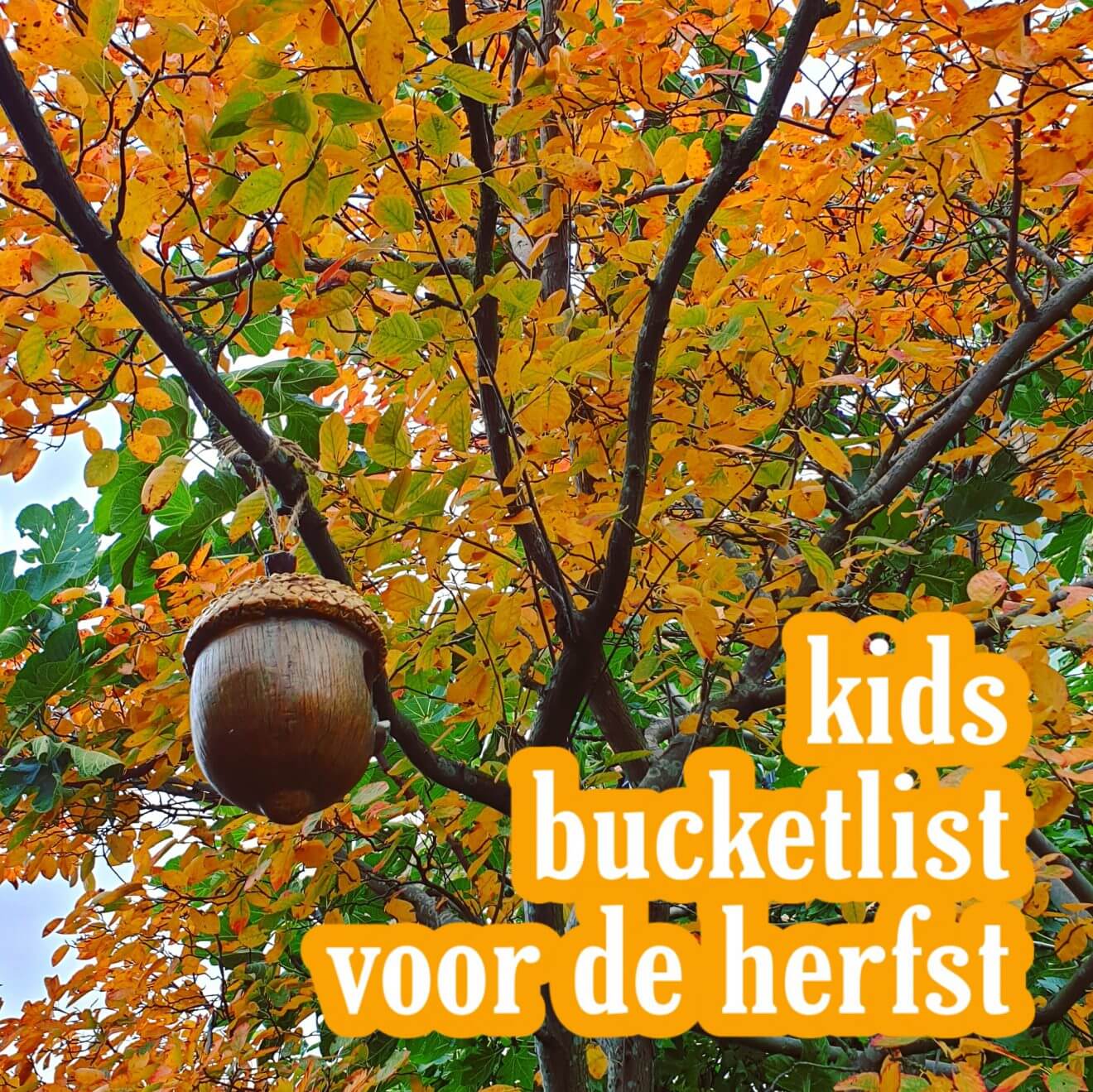 Onze kids bucketlist voor deze herfst: leuke herfstvakantie activiteiten