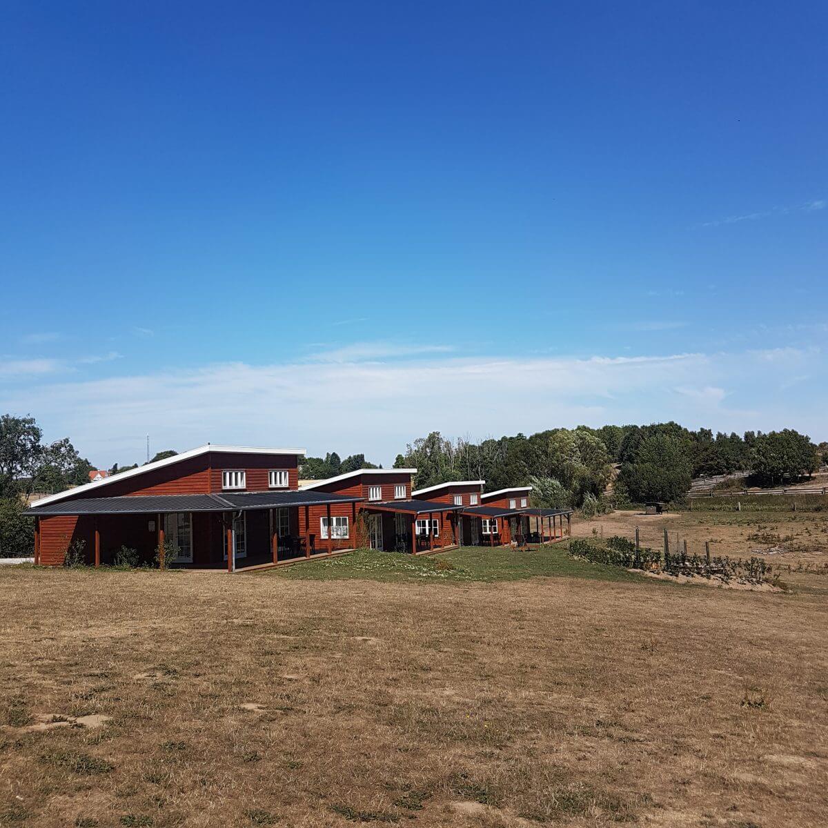 Ditlevsdal Bisonfarm: op bisonsafari of zelfs slapen tussen de bizons, op het eiland Funen in Denemarken, prairie cottages #leukmetkids #vakantie #kinderen