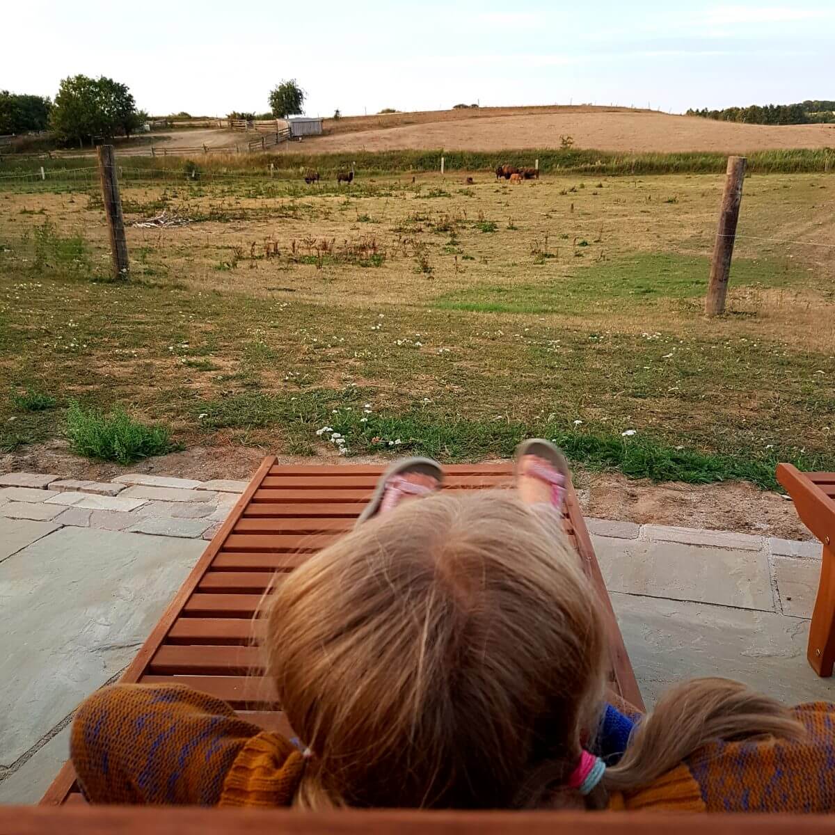 Ditlevsdal Bisonfarm: op bisonsafari of zelfs slapen tussen de bizons, op het eiland Funen in Denemarken #leukmetkids #vakantie #kinderen