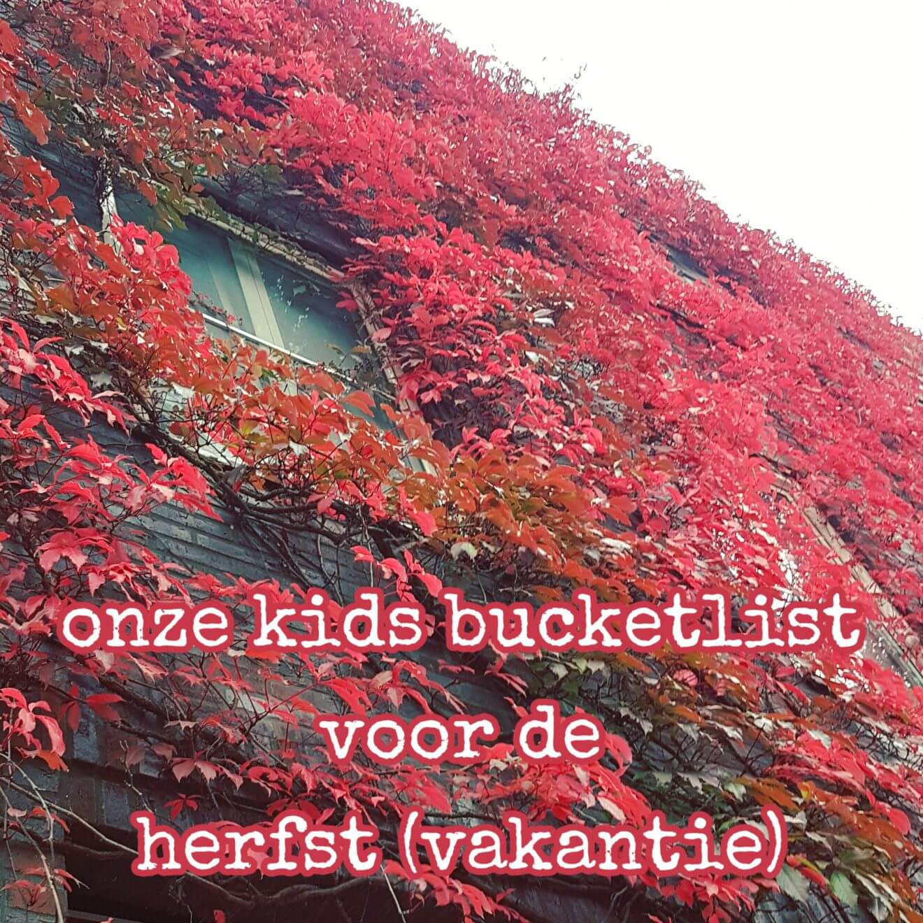 Onze kids bucketlist: leuke activiteiten in de herfst(vakantie)