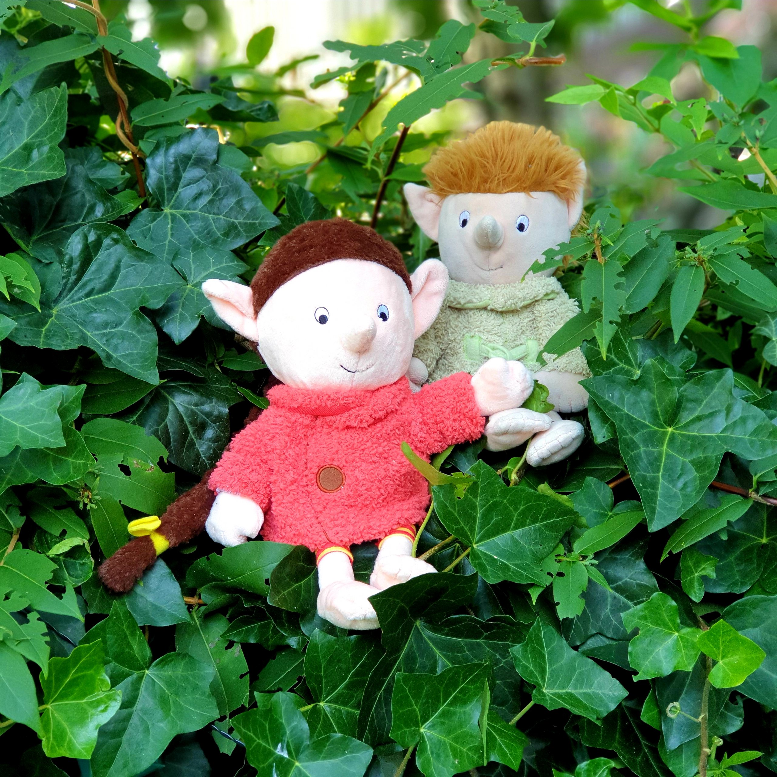 Kinderboeken over de natuur: leuke cadeau ideeën voor kinderen. Uit de boeken over de Gorgels spreekt enorm veel liefde voor de natuur. Of het nou de natuur op het Eiland is of de natuur in de Bergen is. Geen wonder, want Jochem Myjer is bioloog. 