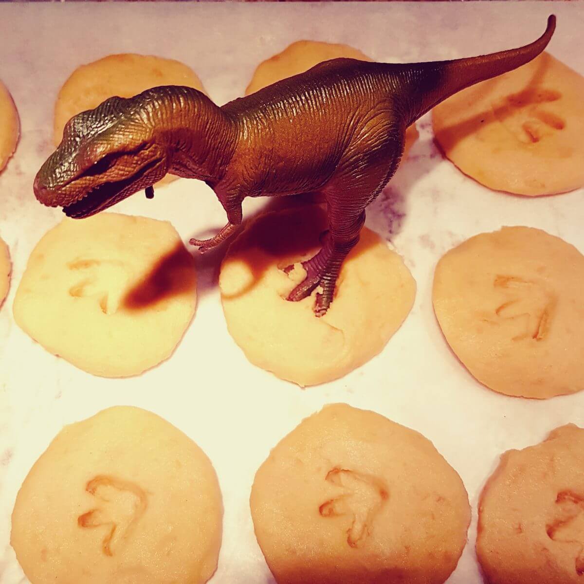 Dinosaurus traktatie voor op school: met hartig koekje en tattoo