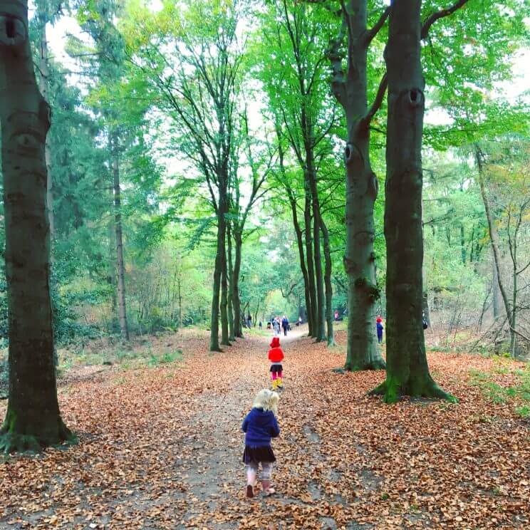 Uitje met kids: kabouterpad wandelen. Voor kleintjes is het vaak best lastig om een flink stuk te lopen, ze zijn snel moe. Een Kabouterpad wandelen in het bos is een mooie motivatie om kinderen te stimuleren om op ontdekking te gaan. 