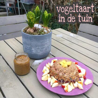 Zelf maken in de winter: vogeltaart in de tuin