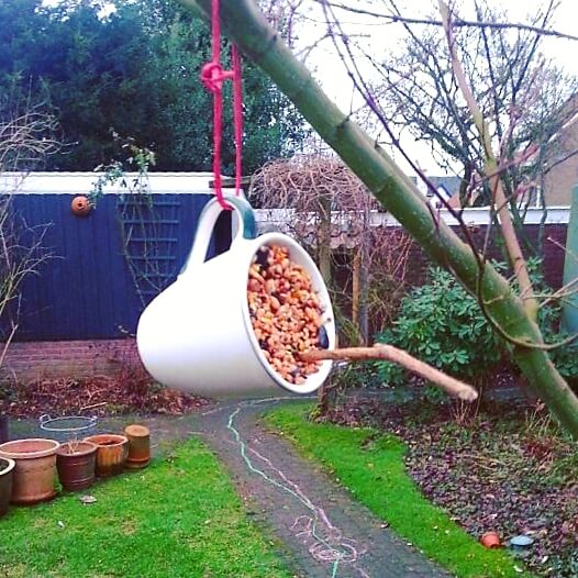 DIY: kopje vogelvoer maken