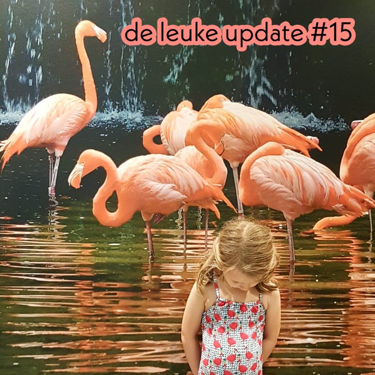 De Leuke Update #15 | lente nieuwtjes & kids uitagenda