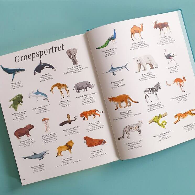 Boekentip: het dikke boek van alle bijzondere dieren