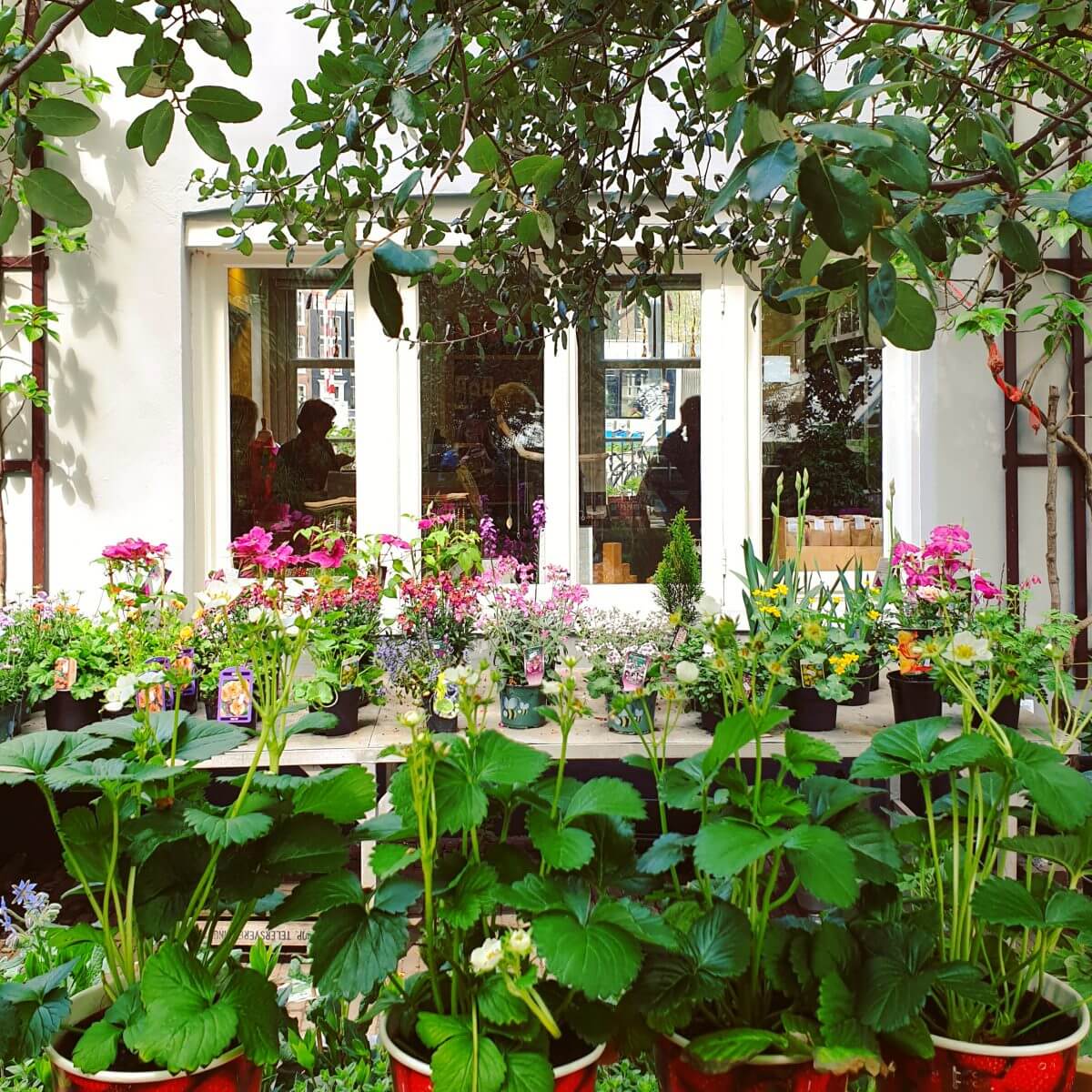 Uitje met kids: leren over planten in de Hortus 