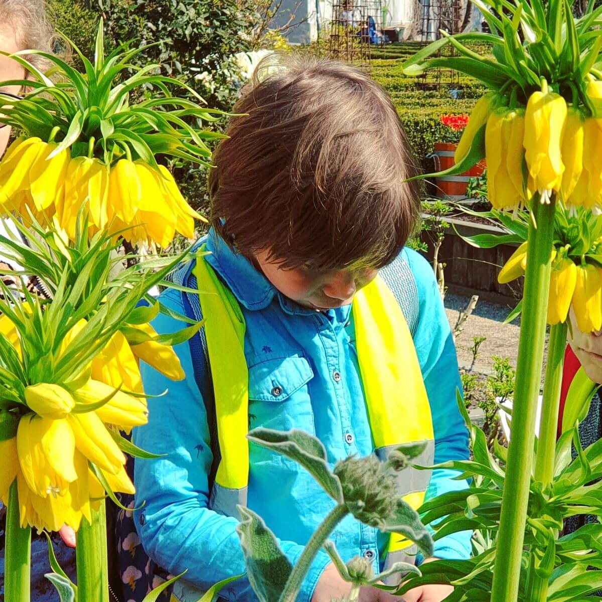 Uitje met kids: leren over planten in de Hortus 