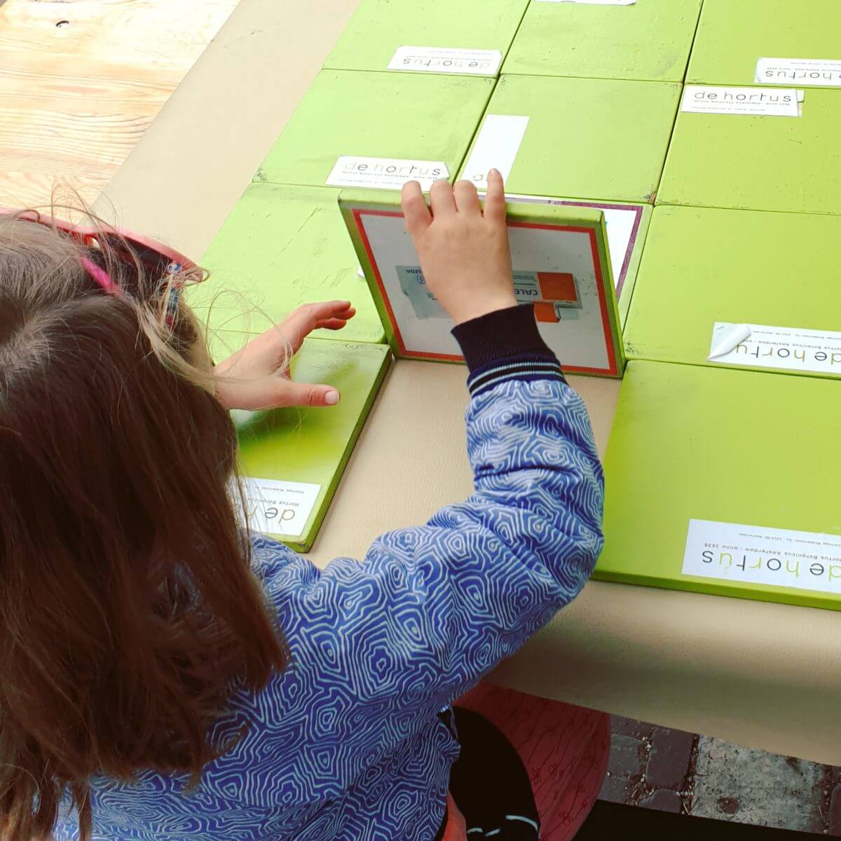 spelletjes in de Hortus 