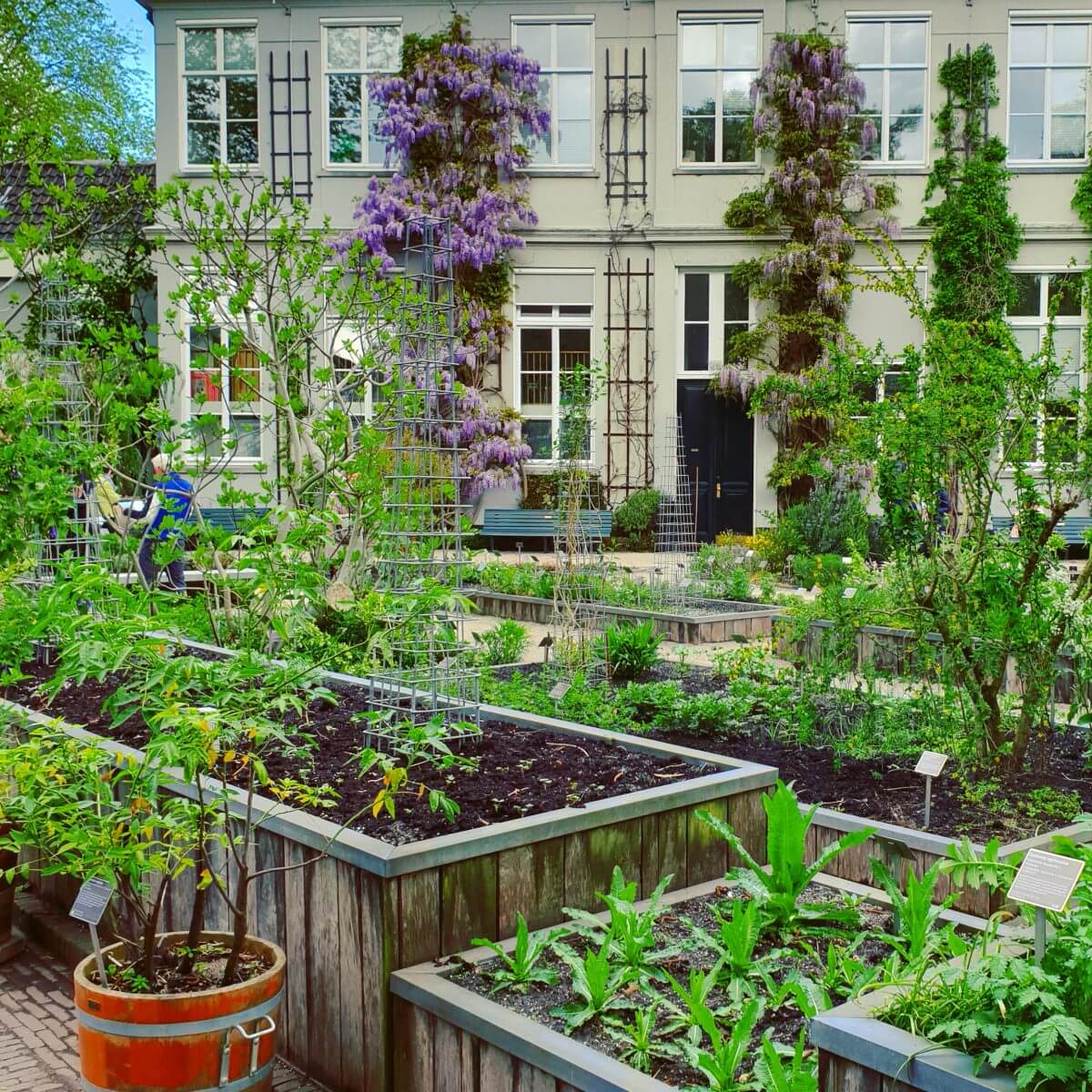 Uitje met kids: leren over planten in de Hortus 