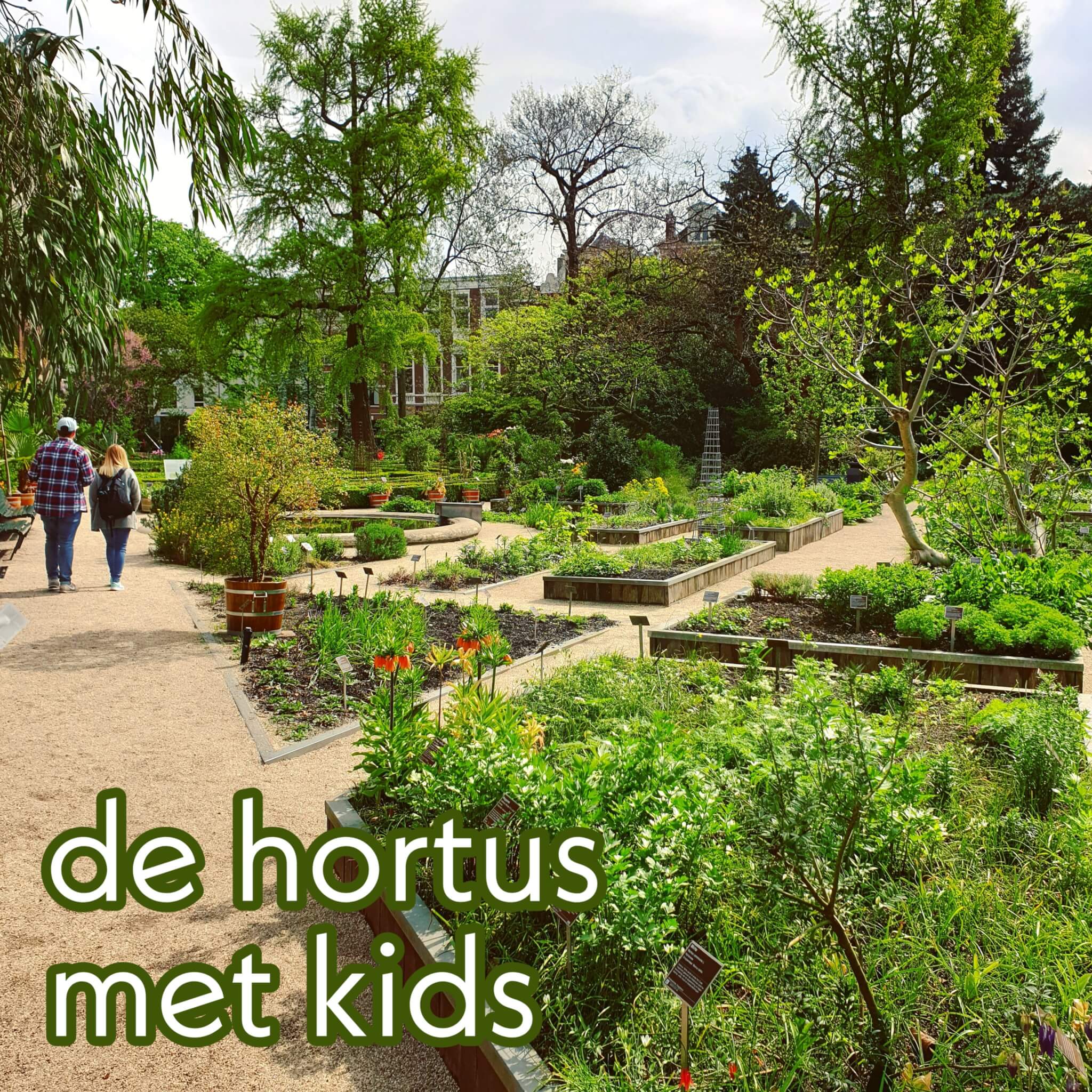 Uitje met kids: leren over planten in de Hortus