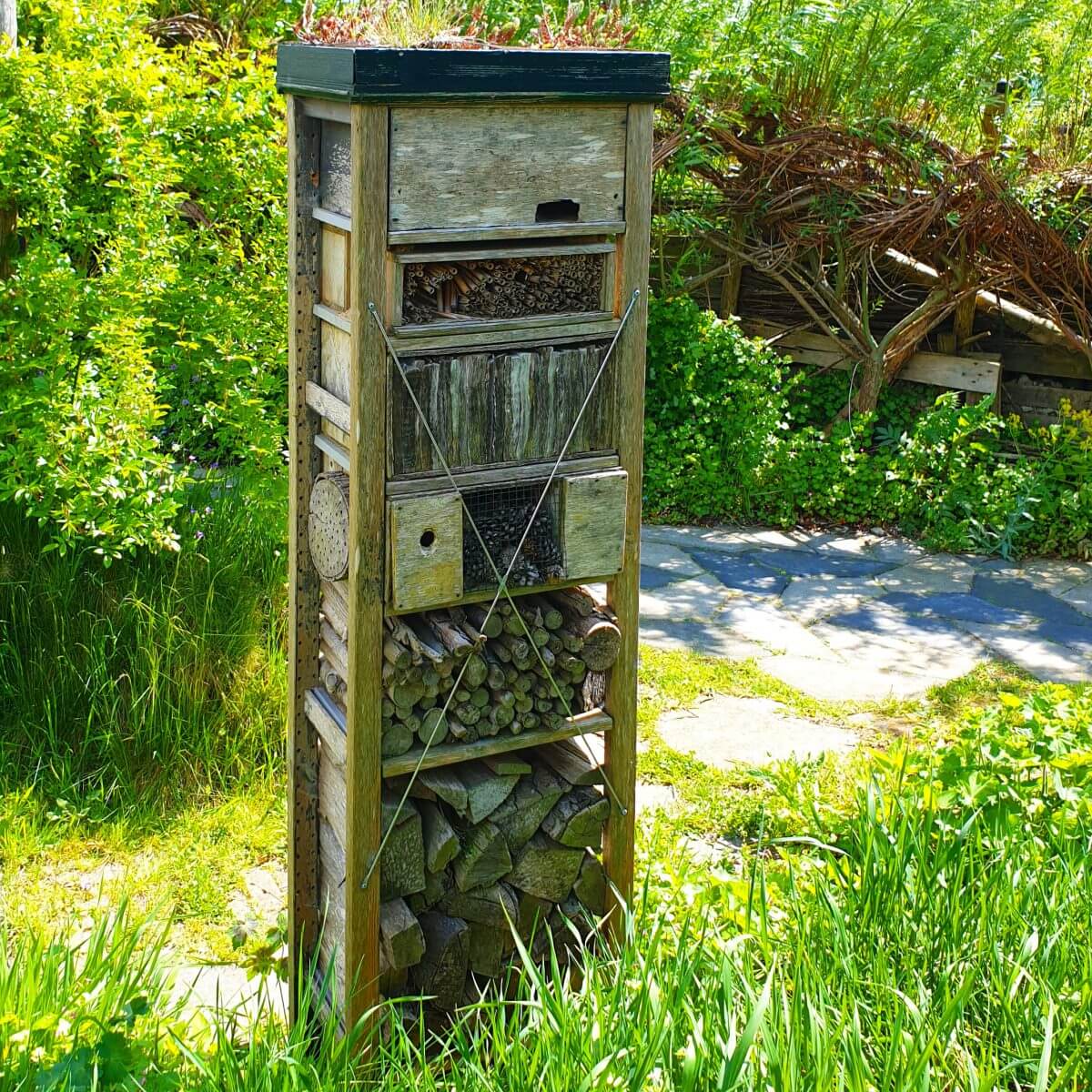 Zelf maken met kinderen: een insectenhotel voor bijen in de tuin