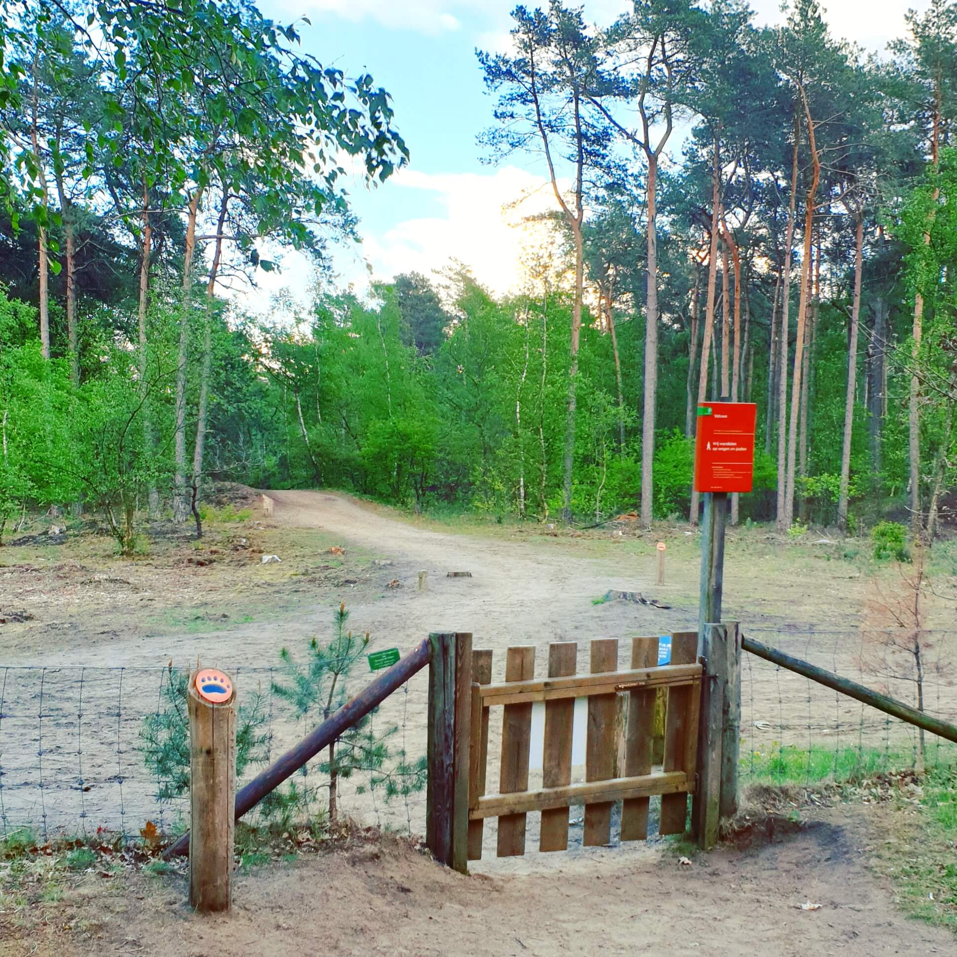 Wandelend met kinderen de natuur ontdekken op Landal Rabbit Hill 