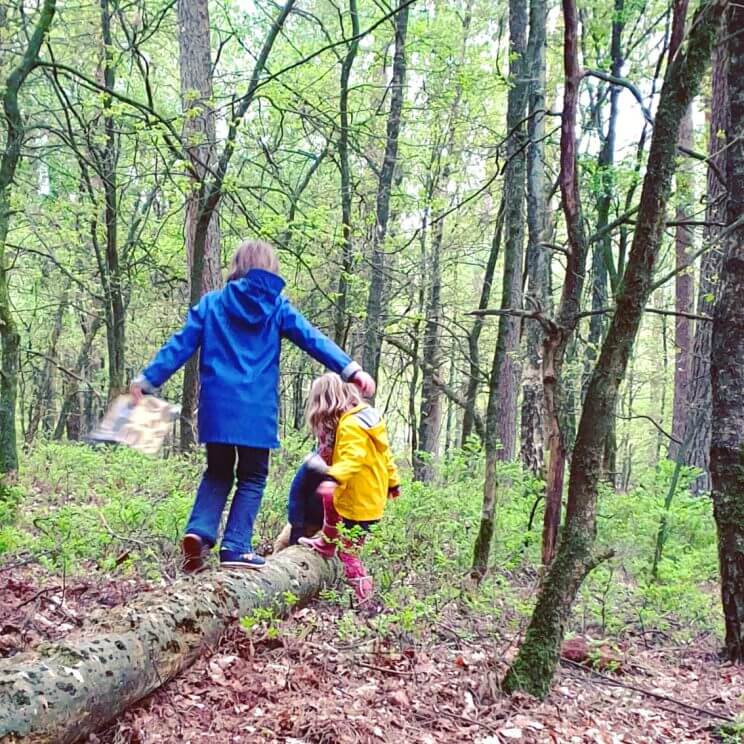 Wandelend met kinderen de natuur ontdekken op Landal Rabbit Hill 