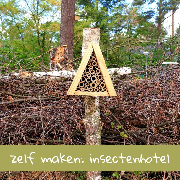 Zelf maken met kinderen: een insectenhotel voor bijen in de tuin