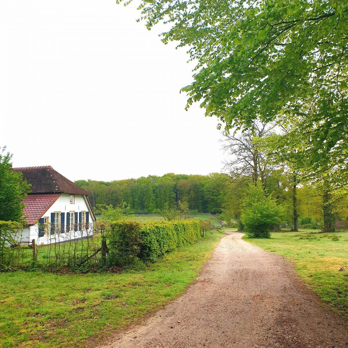 Fietsend de natuur ontdekken op de Veluwe rondom Landal Rabbit Hill 