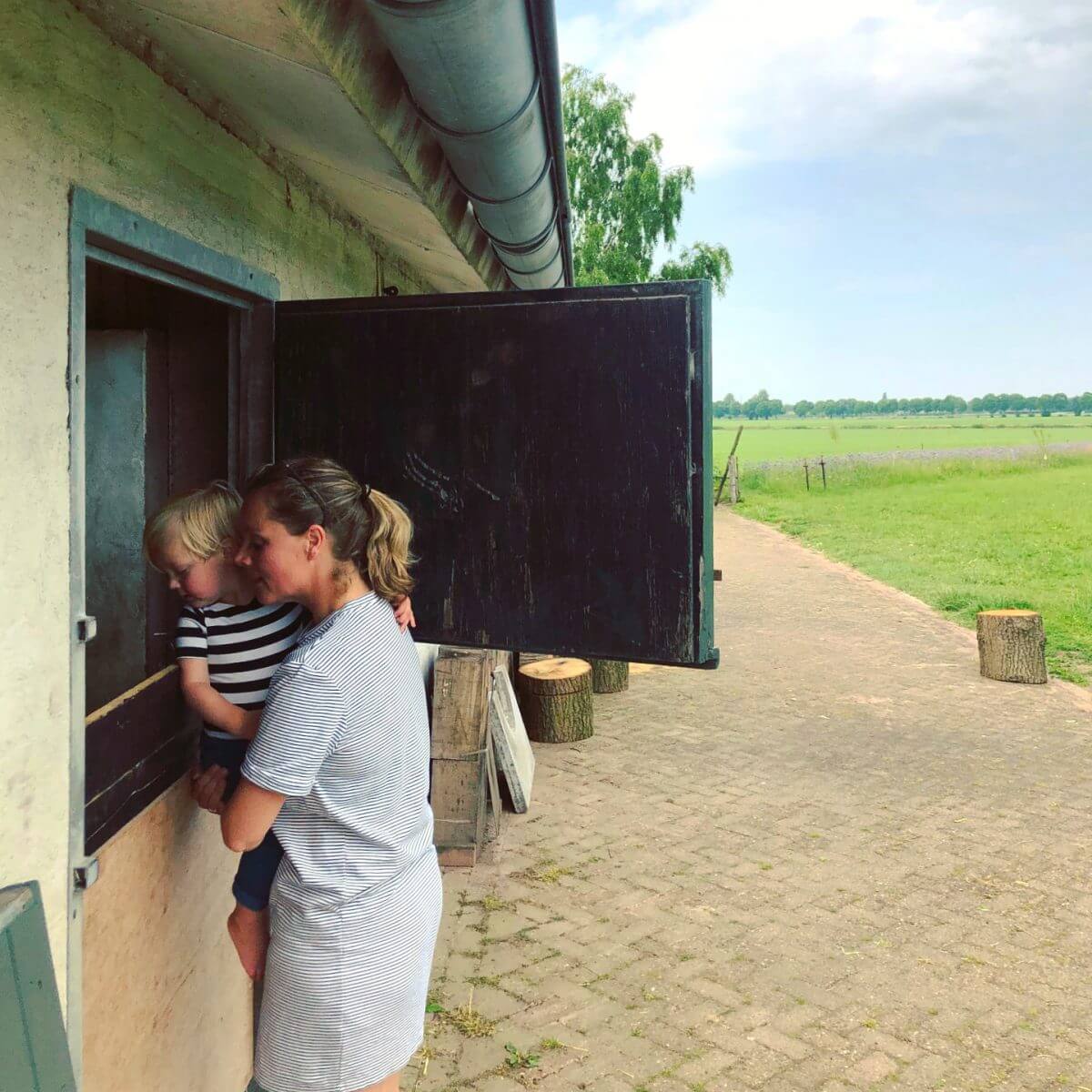 kijken naar de dieren bij boerderij De Lieve Wies