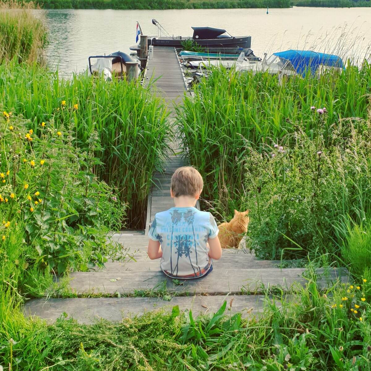 steigers op Steigereiland op IJburg