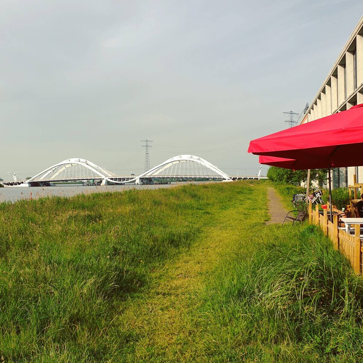 Het uitzicht op de BH-brug, zoals de Enneüs Heermabrug op IJburg in de Amsterdamse volksmond heet. 