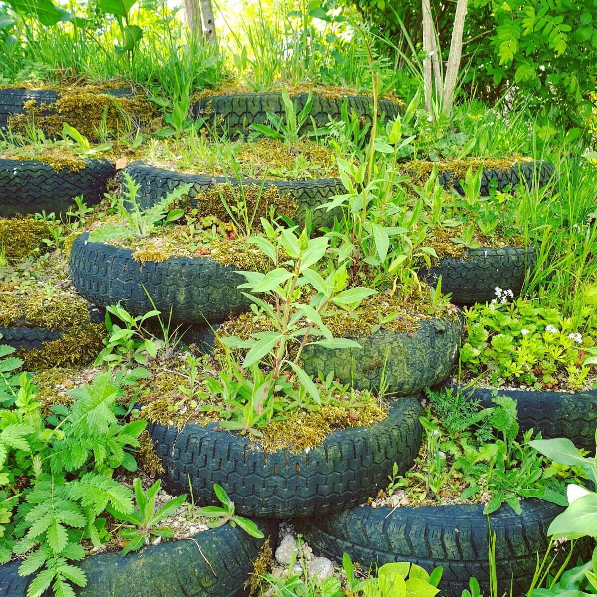 van autobanden een plantenbak maken