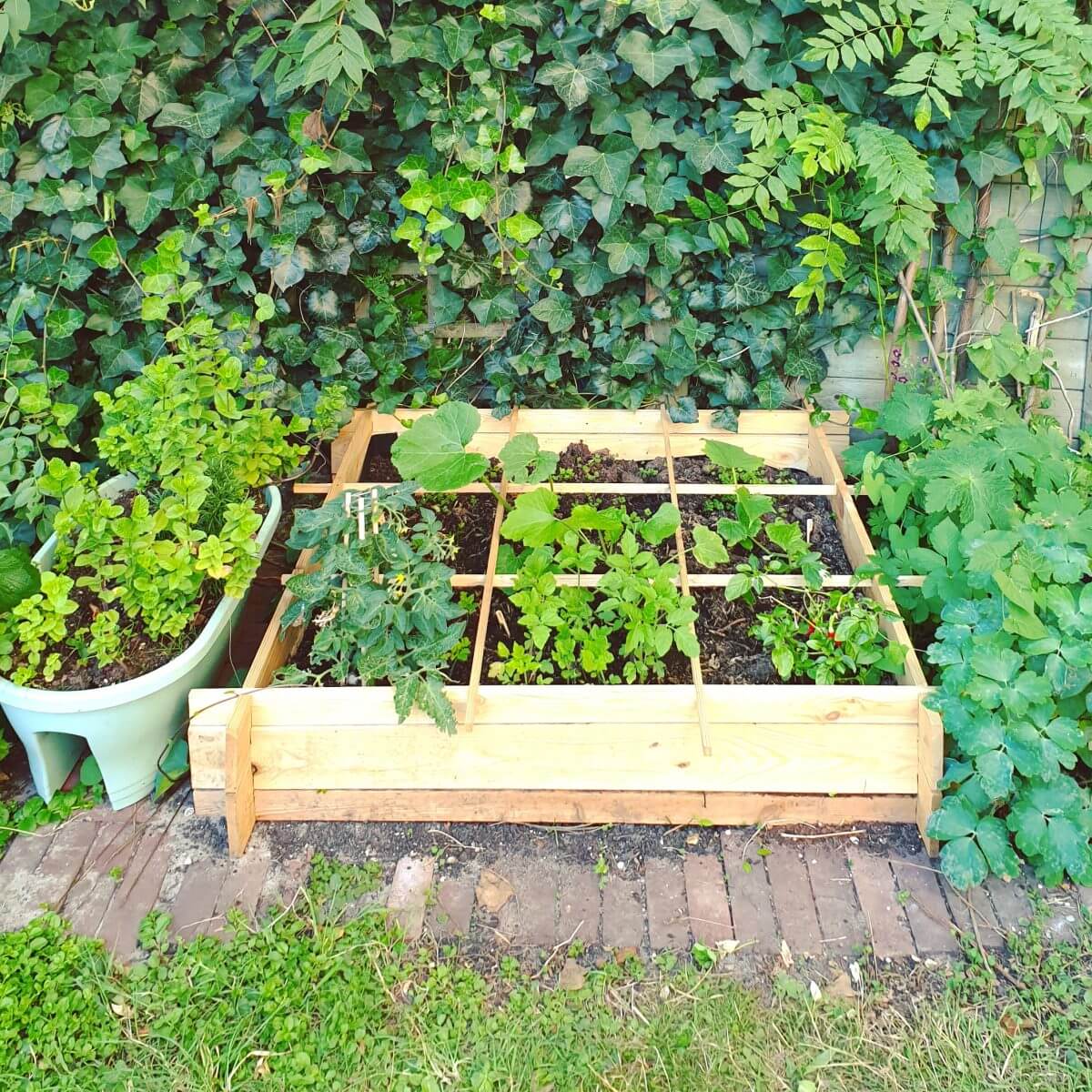 Tuinieren met kids: vierkante meter moestuinbak