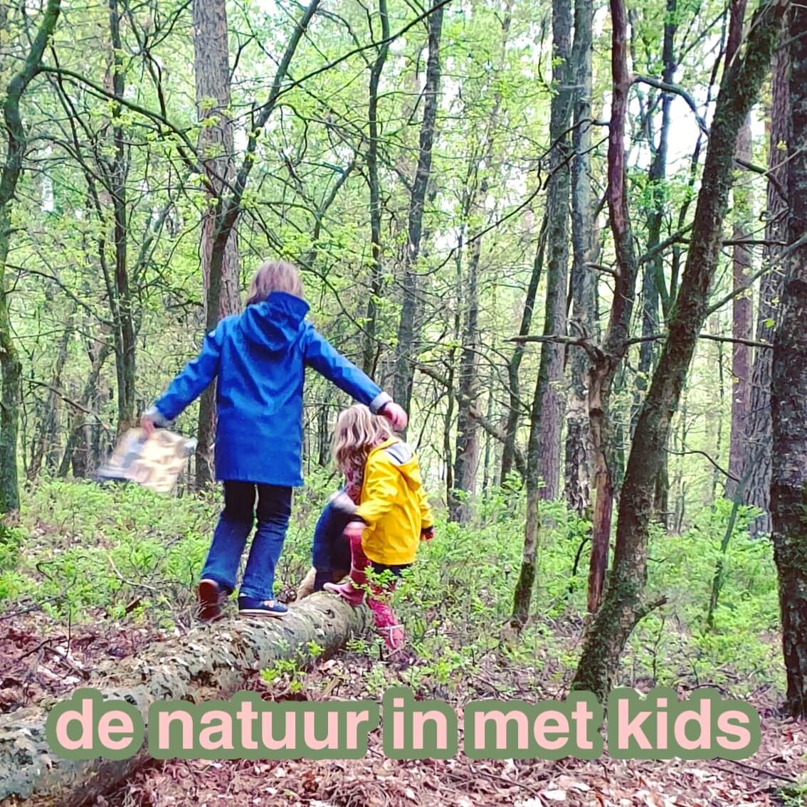 De natuur in met kinderen: uitjes, vakantie, knutselen en boeken