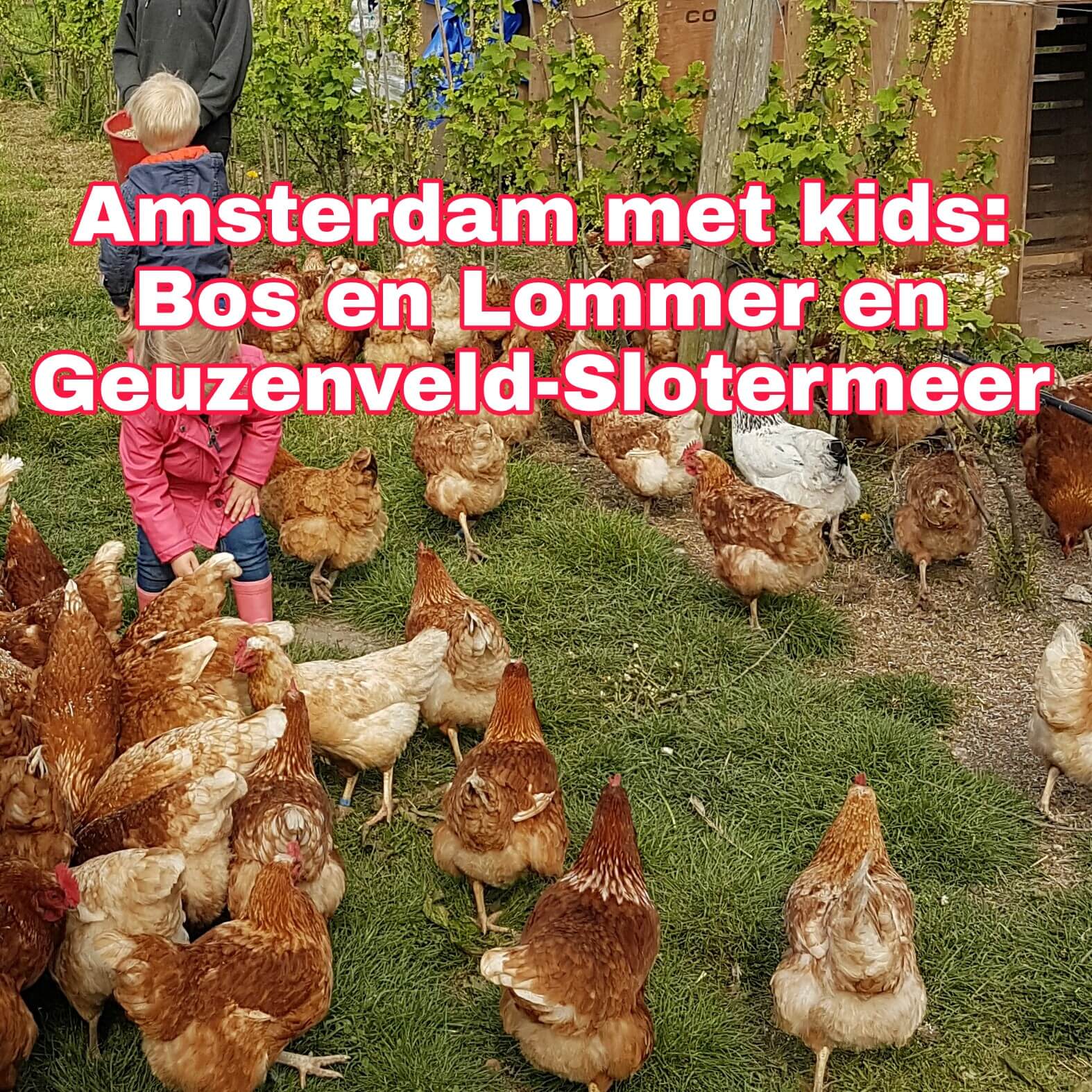 Bos en Lommer, Geuzenveld-Slotermeer en Westpoort met kinderen