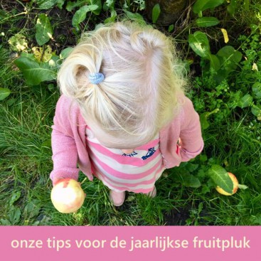 De jaarlijkse fruitpluk en appelpluk met kinderen: onze tips. Een van de leukste dingen om te doen op een zonnige herfstdag: appels en peren plukken met de kids! Dit zijn onze favoriete plekken voor de jaarlijkse appelpluk met kinderen.