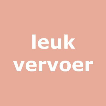 Het leukste vervoer in Amsterdam met kinderen