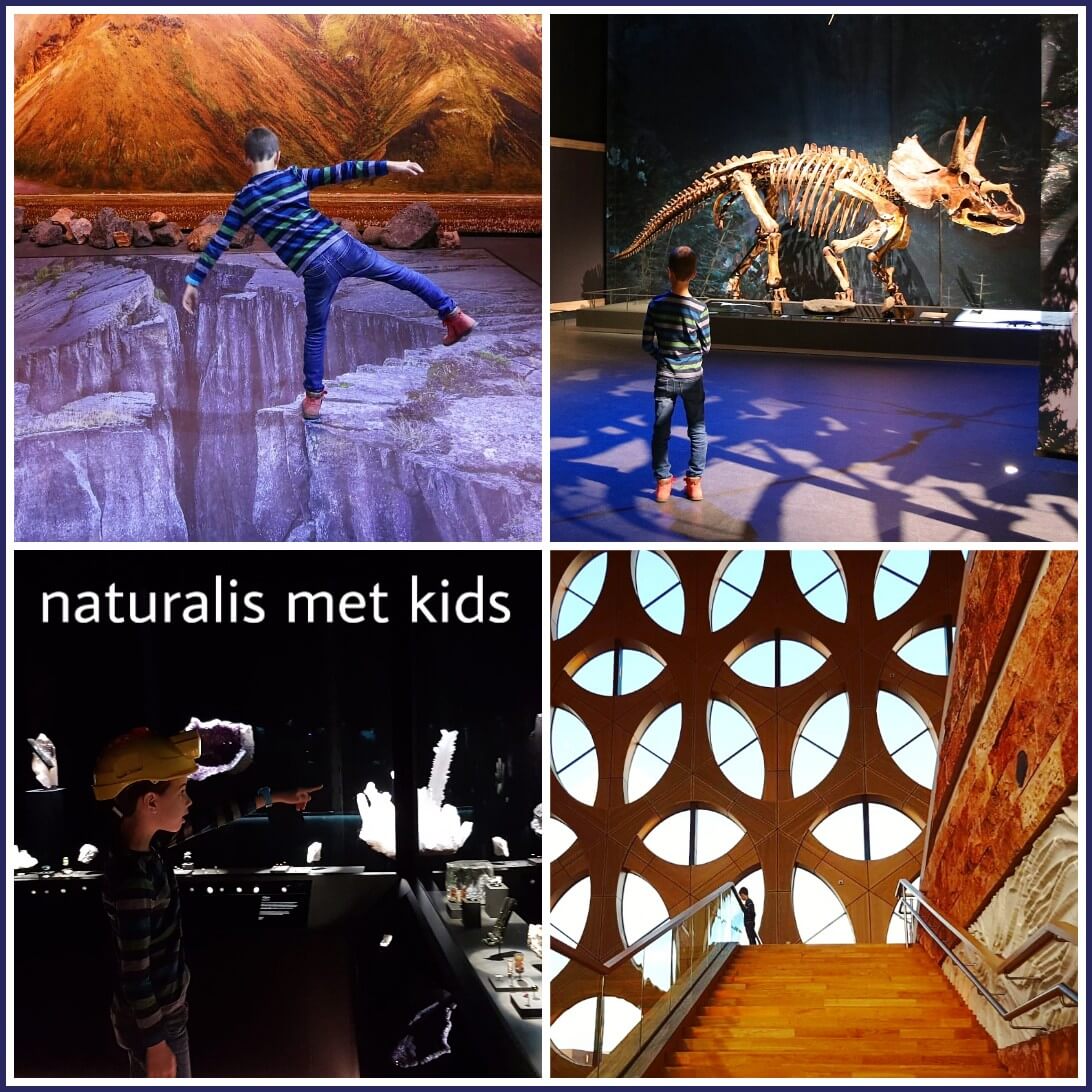 Museum Naturalis met kinderen: 5 redenen om te gaan