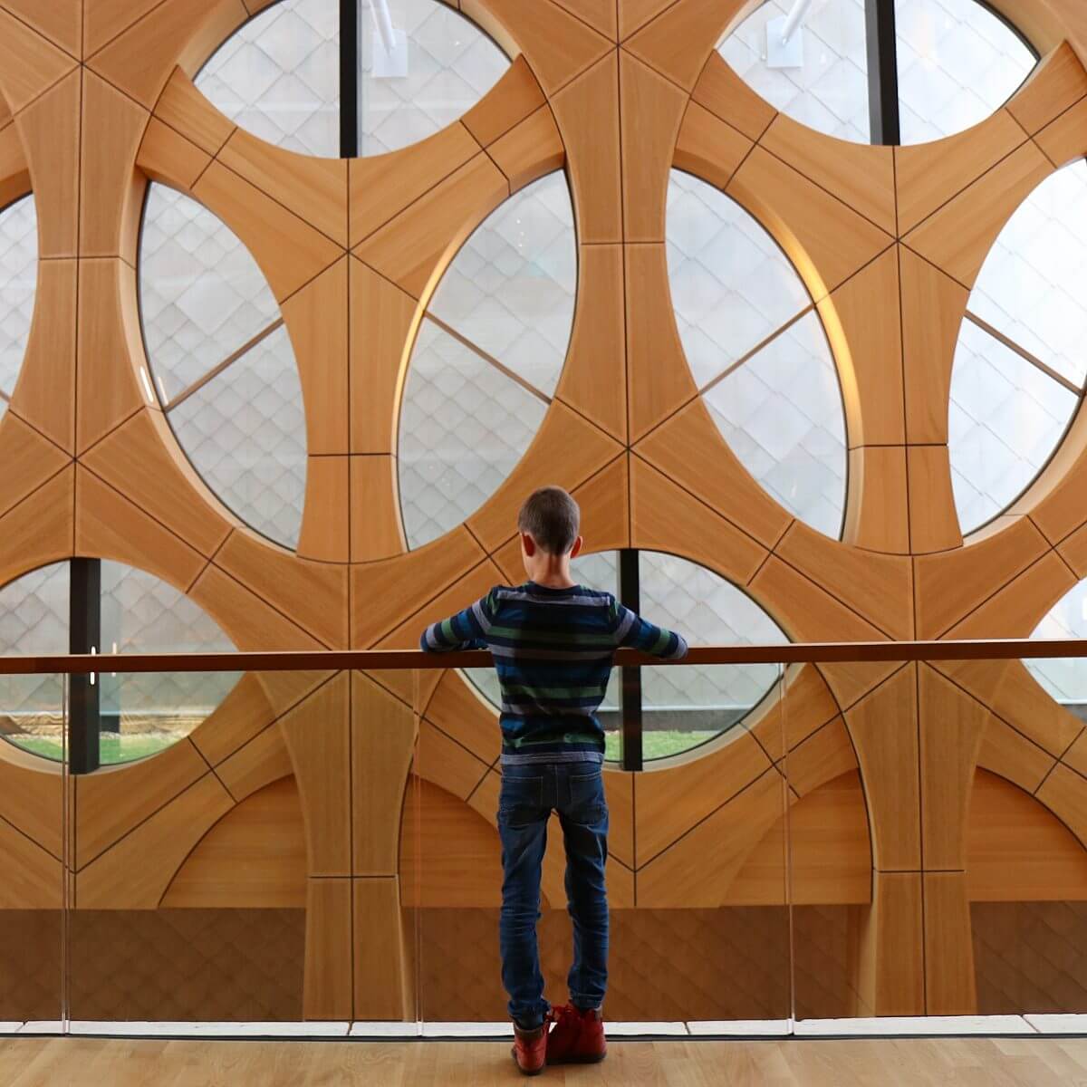 de architectuur van Naturalis in Leiden