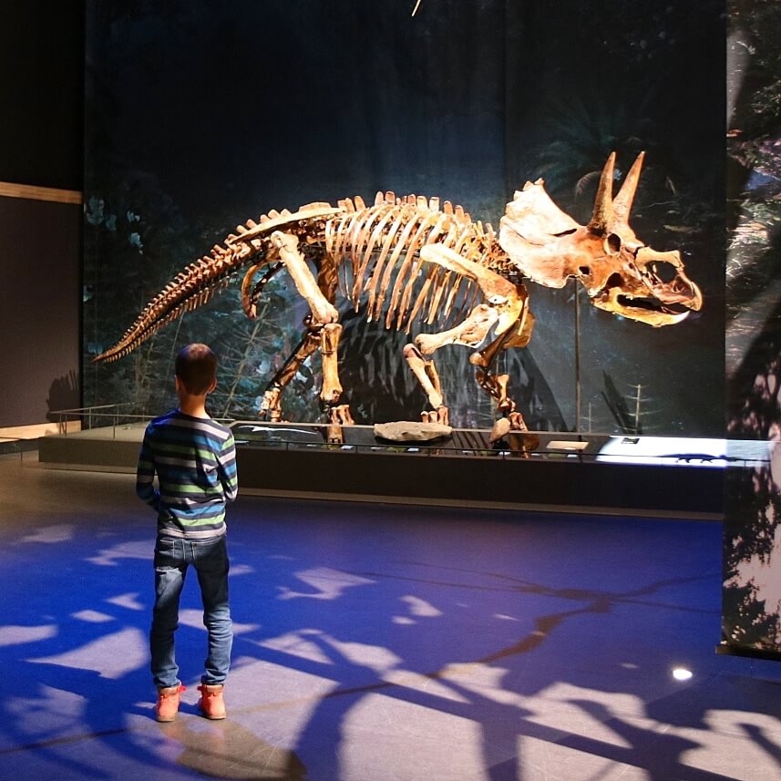 Museum Naturalis met kinderen: dinosaurus