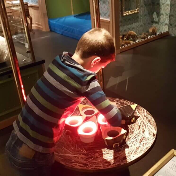 kinderen leren over voorplanting in Museum Naturalis 