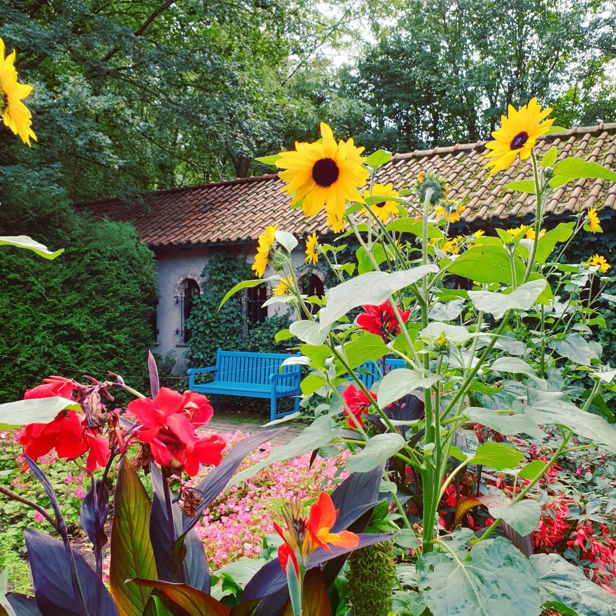 bankje tussen de bloemen