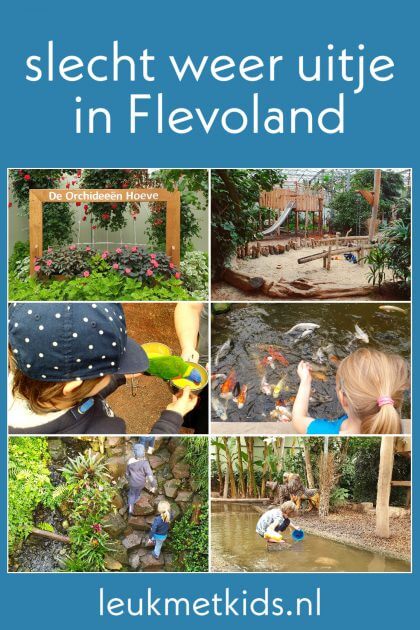 Binnen uitje met kinderen in Flevoland de Orchideeënhoeve