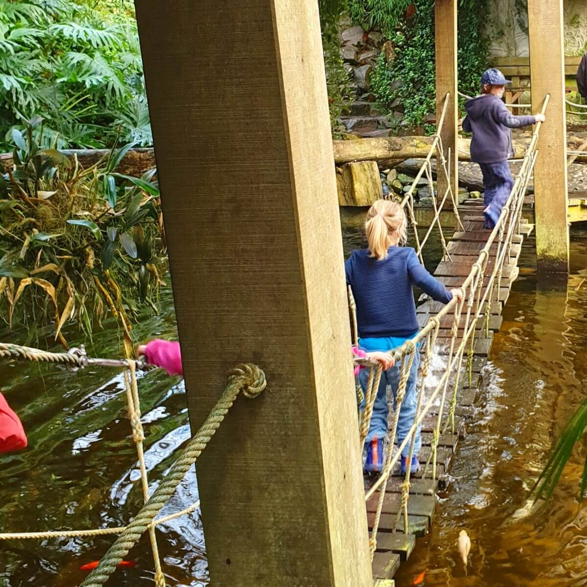 Binnen uitje met kinderen in Flevoland: de Orchideeënhoeve ofwel Pantropica