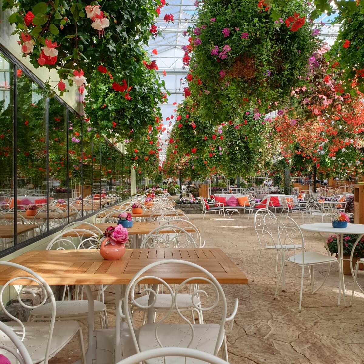 Binnen uitje met kinderen in Flevoland: de Orchideeënhoeve ofwel Pantropica, met restaurantje