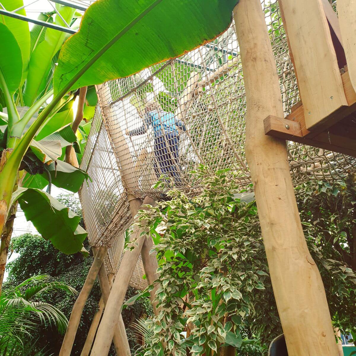 Binnen uitje met kinderen in Flevoland: de Orchideeënhoeve ofwel Pantropica, met grote binnenspeeltuin