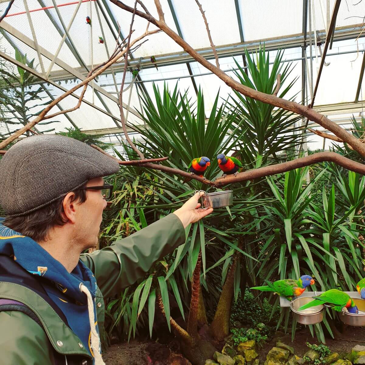 lori tuin van de Orchideeënhoeve ofwel Pantropica