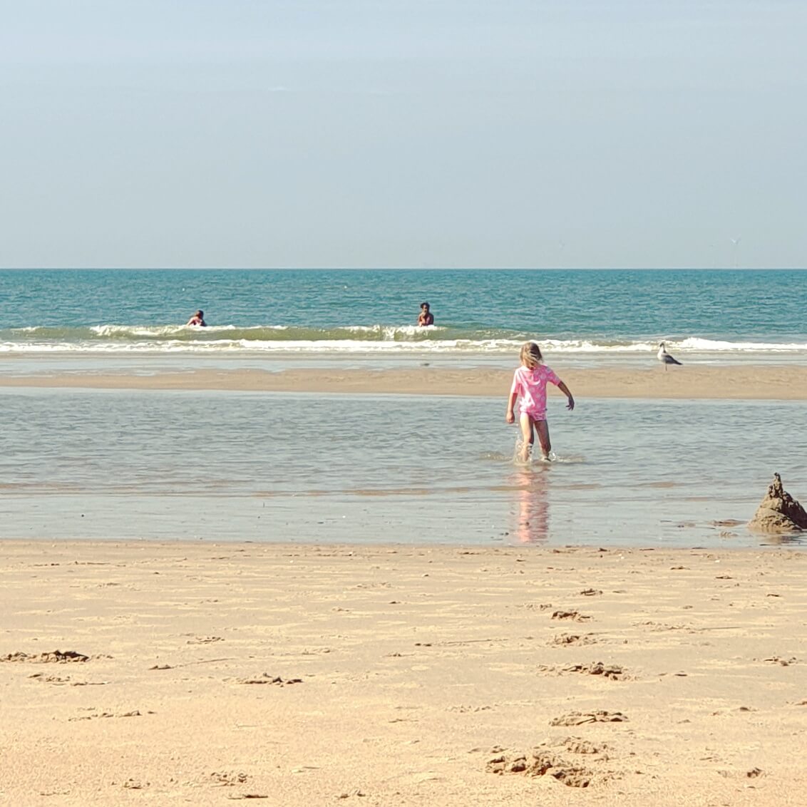 zwemmen bij strand Bakkum