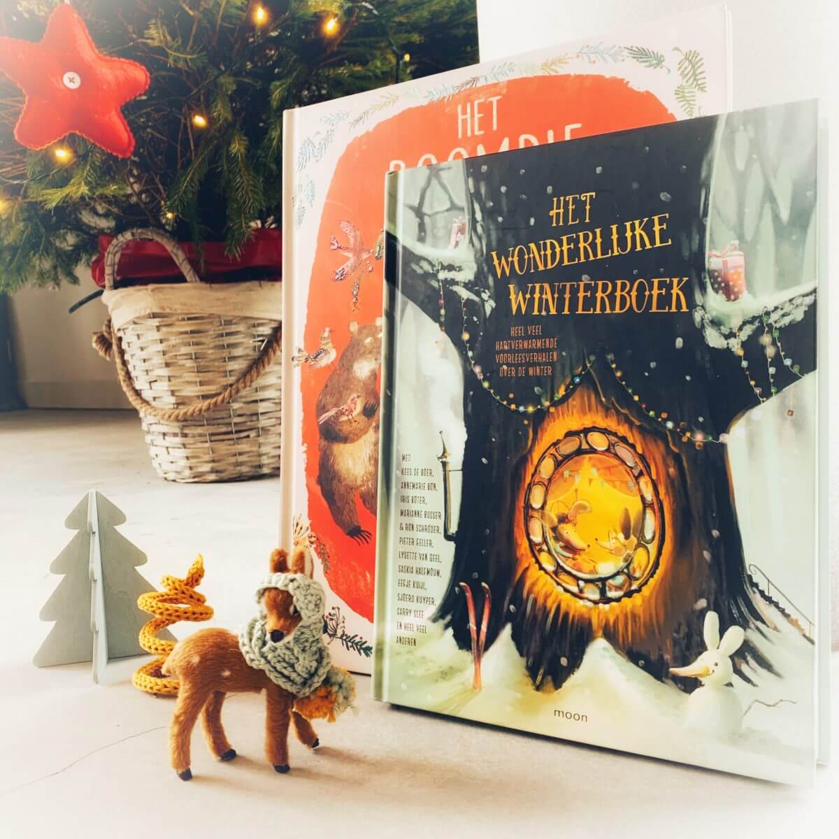 Kinderboeken over de winter, leuk voor onder de kerstboom