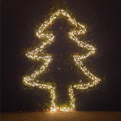 De leukste kindvriendelijke kerstbomen voor baby, peuter en kleuter - kerstboom van lampjes in de heg